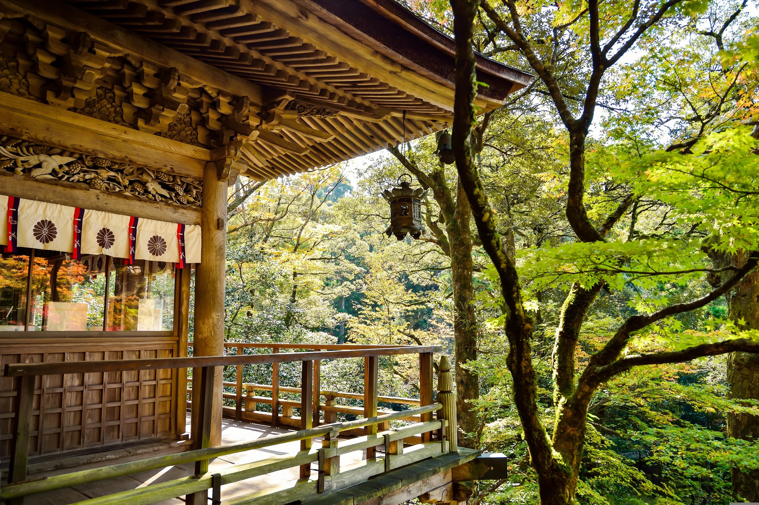 Students learning Japanese language and culture